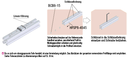 Serie 8-45/Nutweite 10/45x45mm, Parallel Surfacing:Verwandte bildanzeige