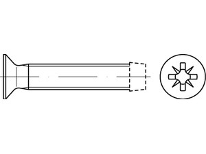 Gewindefurchende Schraube / Senkkopf / mit Bund / DIN 7501