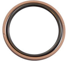 Kolbendichtung, PTFE-Bronze, mit O-Ring NBR, OMK-MR