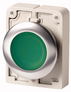 Leuchtdrucktaste, RMQ-Titan, flach, rastend, grün, unbeschriftet, Frontring Edelstahl