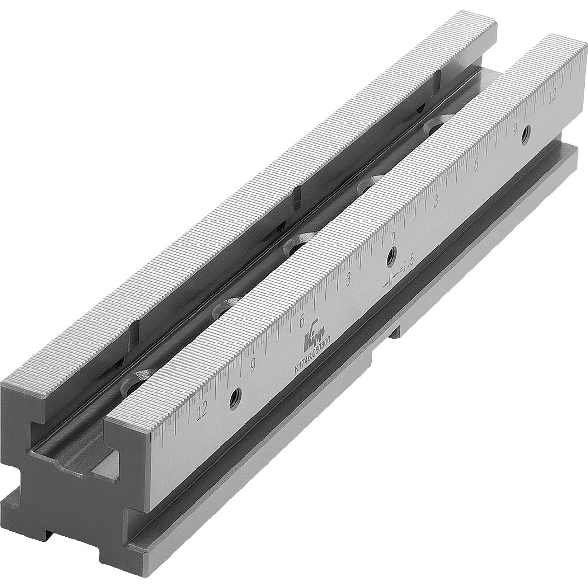 Spannschienen für Mehrfach-Spannsystem (K1746)