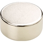 Neodymium Magnet (Round) 