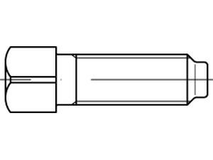 Vierkantschrauben Schraube mit Bund und Ansatzkuppe DIN 480 Güte 10.9 Stahl roh 