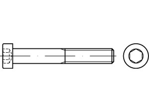 Zylinderkopfschrauben / Innensechskant / Material wählbar / A2, A4, 8.8, 10.9 / DIN 7984