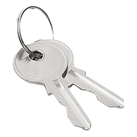 Schlüssel für Drehriegel (K1511)