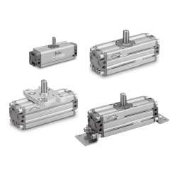 C (D) RA1-Z*30-100, Schwenkantrieb mit Zahnstange, Standard